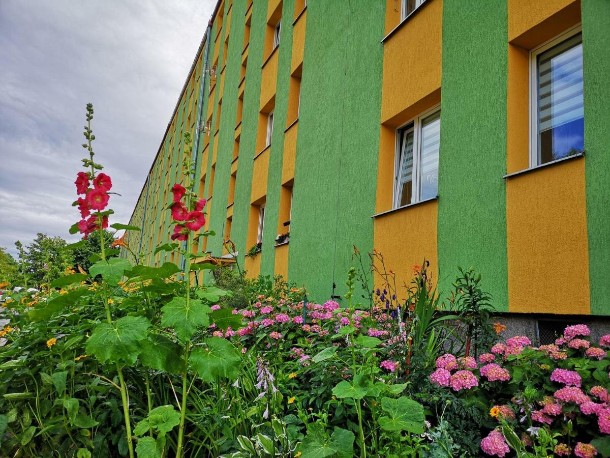 Apartament Anchor Przymorze กดัญสก์ ภายนอก รูปภาพ